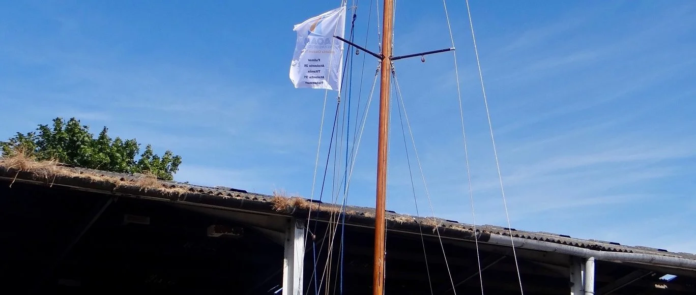 2018 07 A1 Mast Up 03