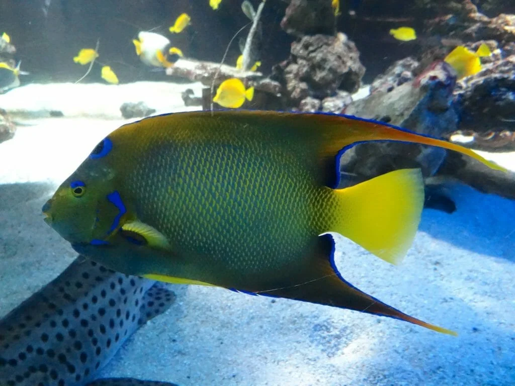 The museum is laid out over many floors, each spectacular in its own way