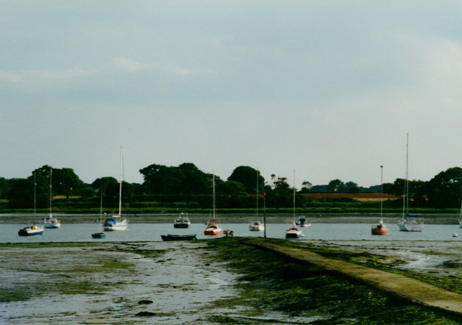 Faireys at the bottom of the garden.  Lighter's Field - the Currey house at Bosham