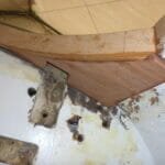 Underneath View of Reinforcement