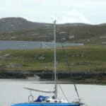 Chamois in Castlebay Barra