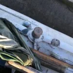 Terrapina neglected in Cheshire Boatyard