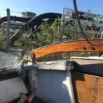 Terrapina neglected in Cheshire Boatyard