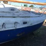 Terrapina neglected in Cheshire Boatyard