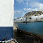 A179 Emma Duck deteriorating in Rye