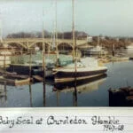 A137 1968 Baby Seal at Bursledon
