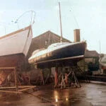 A137 1980s Baby Seal ashore