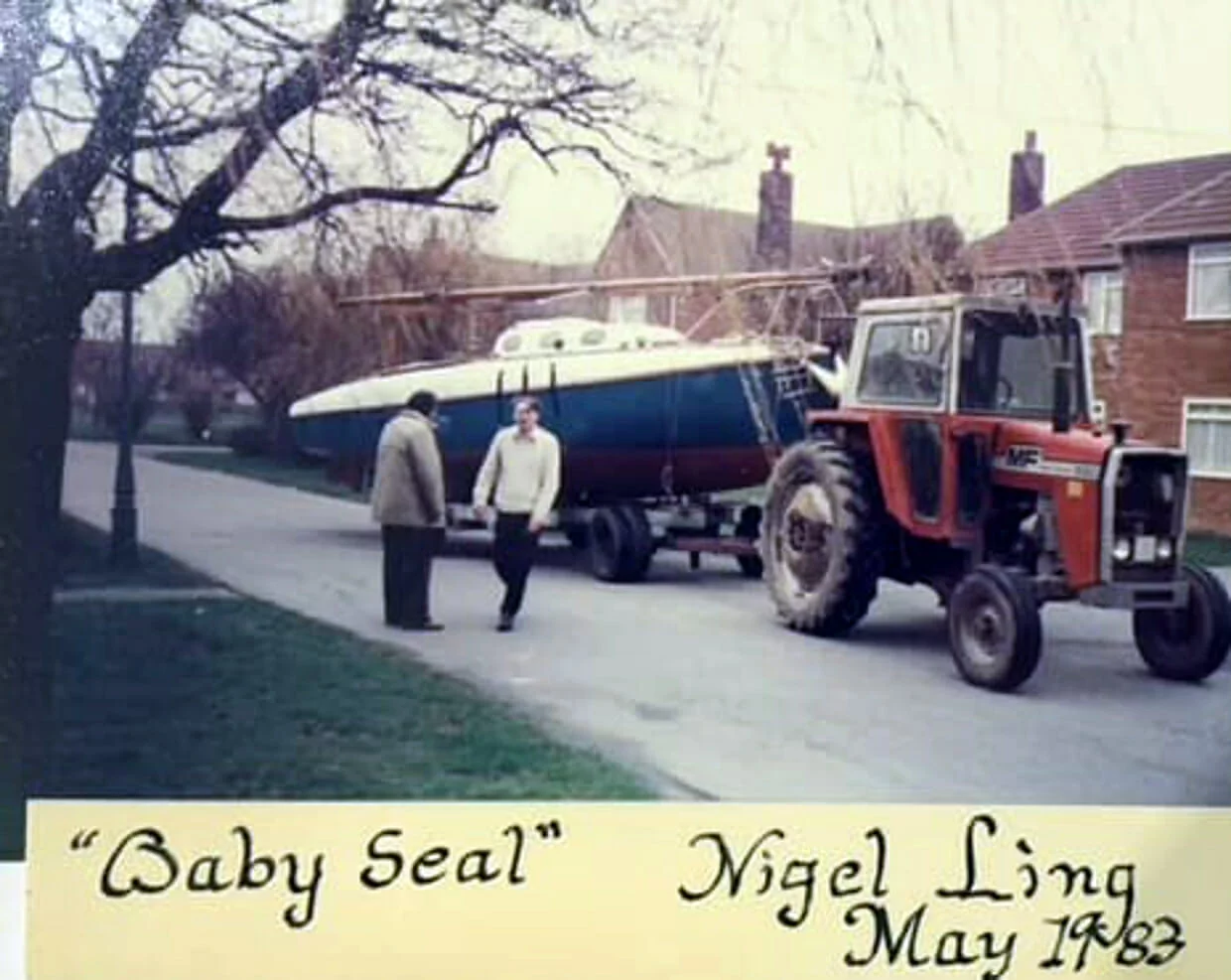 Does anyone own Baby Seal?