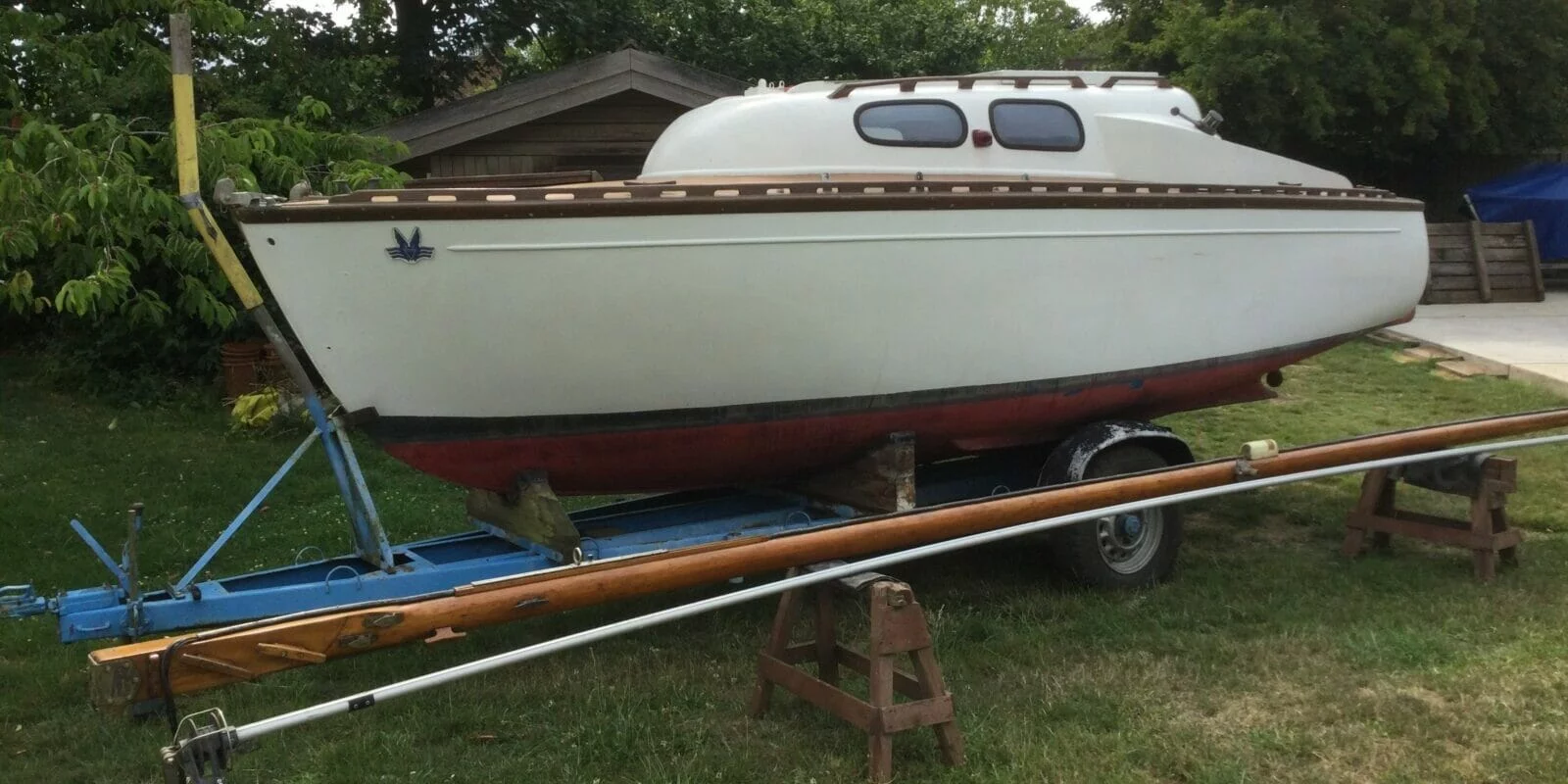 2023 Dodo for sale - on her trailer