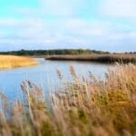 River Alde at Snape by Matt Cornwell