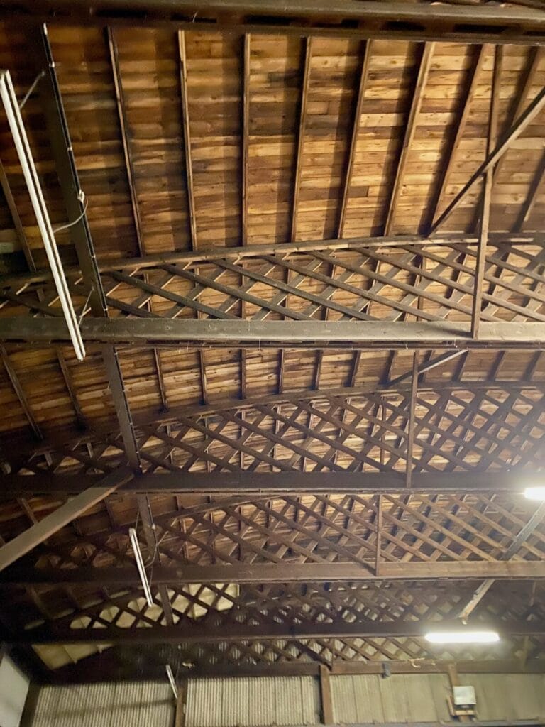 Th impressive wooden lattice beams and deck of the Belfast shed roof
