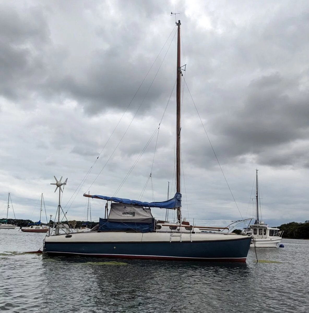 Elle A169 - Dell Quay 2024
