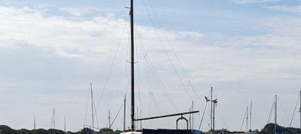 PXL_20240718_103005825