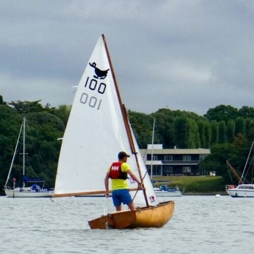 Duckling with New Sails