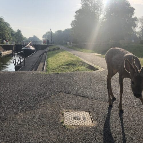 Teddington to Oxford